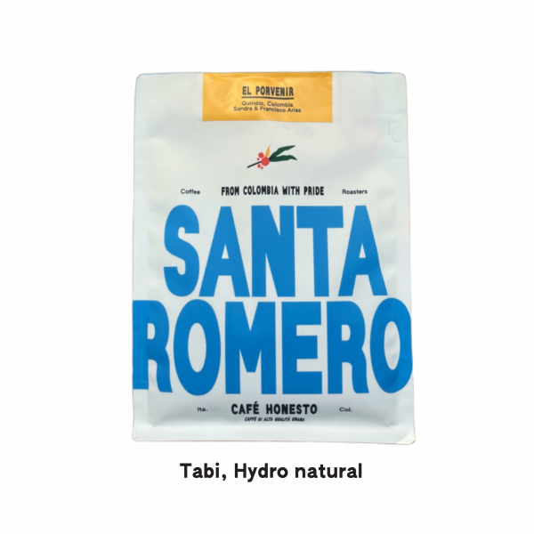 El Porvenir
